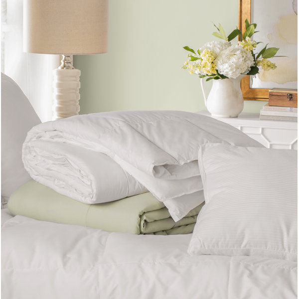 White Noise All Season Cotton Down Alternative Comforter & Reviews